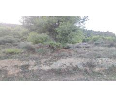 Parcela en Venta en Torreagüera, Murcia