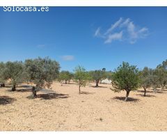 Casa de campo en Venta en Yecla, Murcia