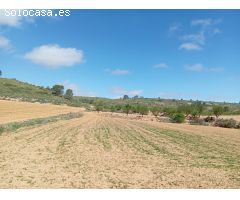 Casa de campo en Venta en Yecla, Murcia