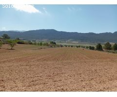 Casa de campo en Venta en Yecla, Murcia