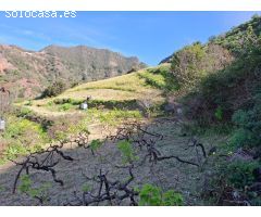 Terreno Rústico con cuarto de aperos y cueva en El Batán