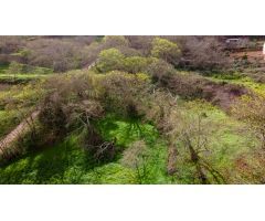 Maravilloso terreno en La Hacienda-Pico de la aguililla-La Esperanza