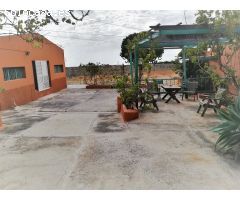 FINCA RÚSTICA EN INGENIO