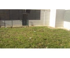 ESTUDIO 1 HAB. EL CRISTO