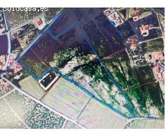 Finca rustica en Venta en Barrio Viejo de Callosa de Segura, Alicante