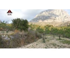 Parcela en Finestrat