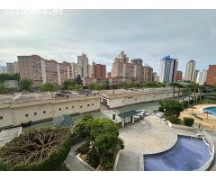 ZONA JUZGADOS PARA ENTRAR A VIVIR