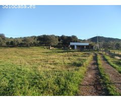 PRECIOSA FINCA DE 11ha CON CASERIO ANTIGUO EN PLENO PARQUE NATURAL SIERRA DE SEVILLA