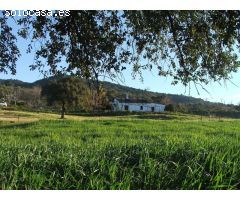 PRECIOSA FINCA DE 11ha CON CASERIO ANTIGUO EN PLENO PARQUE NATURAL SIERRA DE SEVILLA