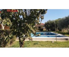 Precioso chalet de 1 planta con Piscina y calidades inmejorables 2500mT2
