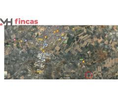 Finca Rustica de 46.000 mt2 En Arahal (Proyecto de instalación y reformas presentado)