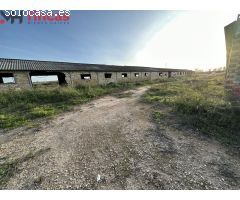 Finca Rustica de 46.000 mt2 En Arahal (Proyecto de instalación y reformas presentado)