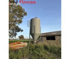 Finca Rustica de 46.000 mt2 En Arahal (Proyecto de instalación y reformas presentado)