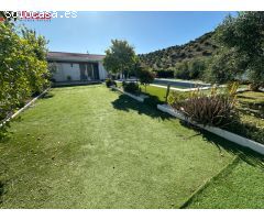 ???????? Finca Excepcional en Venta - Olivos [amp;] Más en Morón de la Frontera ????