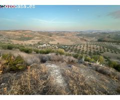 ???????? Finca Excepcional en Venta - Olivos [amp;] Más en Morón de la Frontera ????