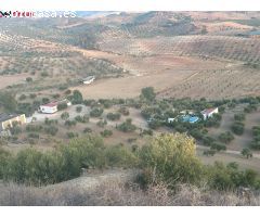 ???????? Finca Excepcional en Venta - Olivos [amp;] Más en Morón de la Frontera ????