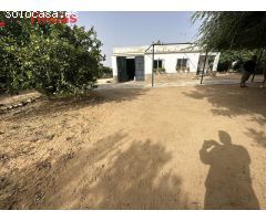 Parcela Rustica de 1,5hectareas en termino municipal de utrera