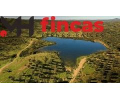 EXCEPCIONAL FINCA DEHESA TAMUJOSO – INVERSIÓN GANADERA Y CINEGÉTICA