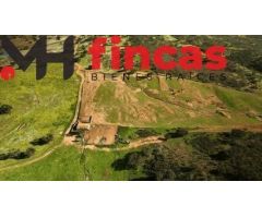 EXCEPCIONAL FINCA DEHESA TAMUJOSO – INVERSIÓN GANADERA Y CINEGÉTICA