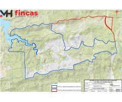 EXCEPCIONAL FINCA DEHESA TAMUJOSO – INVERSIÓN GANADERA Y CINEGÉTICA