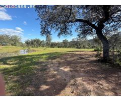 ???????? Finca Rústica con Agua Propia en Almonaster la Real – Huelva