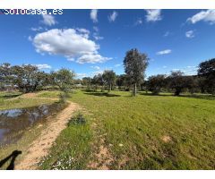????? FINCA RÚSTICA EN VENTA – NATURALEZA, PAZ Y OPORTUNIDAD EN HUELVA EL PATRAS????????