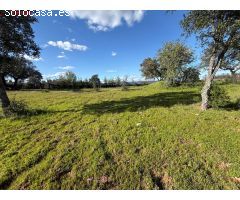 ????? FINCA RÚSTICA EN VENTA – NATURALEZA, PAZ Y OPORTUNIDAD EN HUELVA EL PATRAS????????
