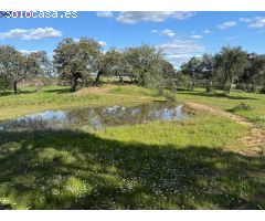 ????? FINCA RÚSTICA EN VENTA – NATURALEZA, PAZ Y OPORTUNIDAD EN HUELVA EL PATRAS????????