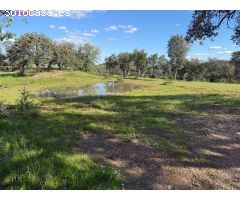 ????? FINCA RÚSTICA EN VENTA – NATURALEZA, PAZ Y OPORTUNIDAD EN HUELVA EL PATRAS????????