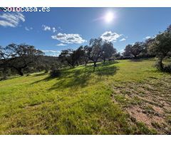 ????? FINCA RÚSTICA EN VENTA – NATURALEZA, PAZ Y OPORTUNIDAD EN HUELVA EL PATRAS????????