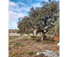 OPORTUNIDAD. VENTA DE TERRENO URBANO  DE 890M2  EN CASTELLET I LA GORNAL