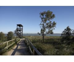 Nueva Promoción en Torrevieja, a 1 km del Mar
