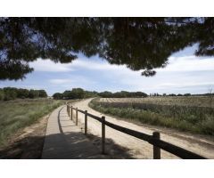 Nueva Promoción en Torrevieja, a 1 km del Mar