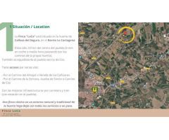 Finca rustica en Venta en Barrio Viejo de Callosa de Segura, Alicante