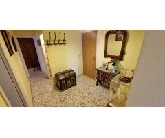 APARTAMENTO EN EL CENTRO DE TORREVIEJA CON CASI 100M2