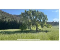 Cortijo en Venta en Antequera, Málaga