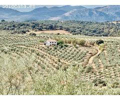 Cortijo en Venta en Villanueva del Rosario, Málaga