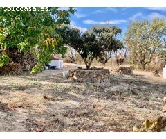 Cortijo en Venta en Villanueva del Rosario, Málaga