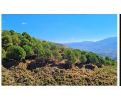Cortijo en Venta en Lanjarón, Granada