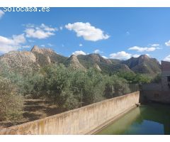Finca rustica en Venta en Beas de Guadix, Granada