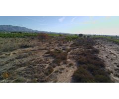 Terreno rural en Venta en Albatera, Alicante
