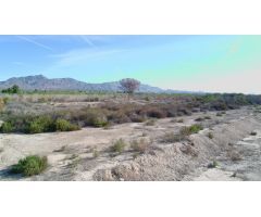 Terreno rural en Venta en Albatera, Alicante