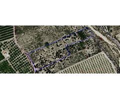 Terreno rural en Venta en Albatera, Alicante