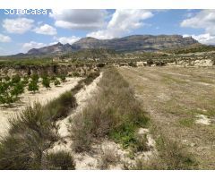 Terreno rural en Venta en Petrer, Alicante