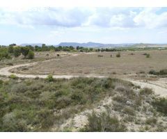 Terreno rural en Venta en Petrer, Alicante