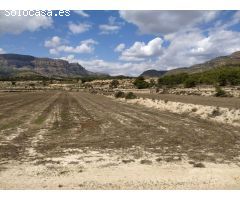 Terreno rural en Venta en Petrer, Alicante