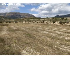 Terreno rural en Venta en Petrer, Alicante