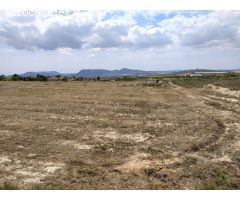 Terreno rural en Venta en Petrer, Alicante
