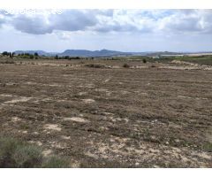 Terreno rural en Venta en Petrer, Alicante