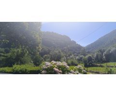 Casa de Pueblo en Venta en Cangas del Narcea, Asturias